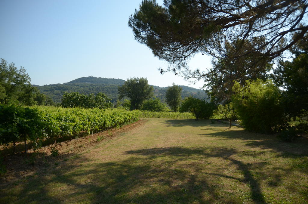 Villa Le Petit Bacalan Mormoiron Zimmer foto